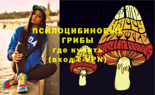 прущие грибы Аркадак