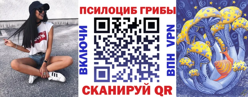 Псилоцибиновые грибы MAGIC MUSHROOMS  Купить закладки  Приволжск 